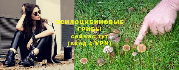 твердый Тында