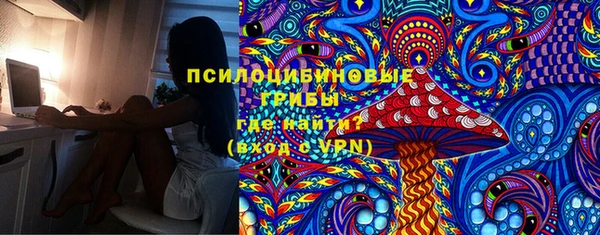 твердый Володарск