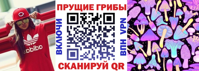 Галлюциногенные грибы Psilocybe  Карабулак 